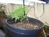 DSC02064.jpg