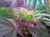 2010-05-22 10.13.29.jpg
