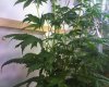 image201005230004.jpg