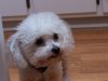 100_0304.jpg