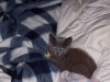 100_0326.jpg