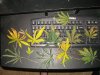DSC01045.jpg