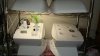 DSC01133.jpg