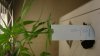 DSC01126.jpg