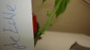 DSC01131.jpg