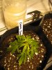 May 24, 2010 012.jpg