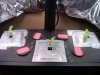 Grow 005.jpg Grow 005.jpg