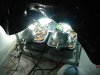 DSC01561.jpg