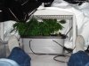 DSC01552.jpg