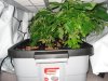 DSC01555.jpg