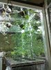 2010-05-25 08.29.21.jpg