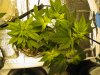 May 25, 2010 009.jpg