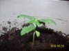 unknown5.jpg unknown5.jpg