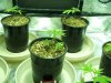 100_0058.jpg