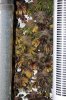 Day 55-9.jpg