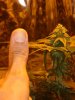 DSC02145.jpg