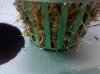 2010-05-29 16.34.04.jpg