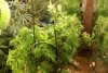 DSC00109.jpg