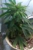 may 29, 2010 002.jpg