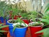 DSC02177.jpg