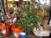 DSC02148.jpg