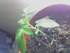 03-18-08_0135.jpg