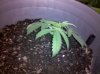 2010-05-15 21.27.04.jpg