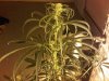 IMG00175-20100509-2051.jpg
