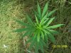 100_2870.jpg