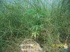 100_2869.jpg