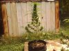 0604101046.jpg