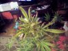 100_1510.jpg