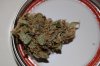 DSC_0187.jpg