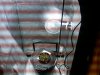 IMG00053-20100604-1946.jpg