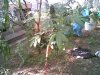 Image025.jpeg