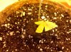 2010-06-05 15.08.12.jpg