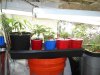 DSC03243.jpg