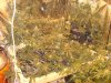 DSC03225.jpg