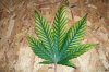 100_0027.jpg