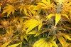 100_0024.jpg