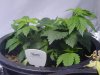 DSC02969.jpg