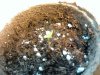 2010-06-08 19.43.47.jpg