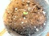 2010-06-08 19.43.54.jpg