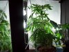 100_1120.jpg