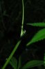 DSC_9193.jpg
