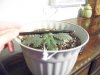 100_0878.jpg