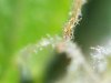 100_1574.jpg
