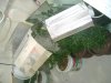 DSC01314.jpg