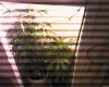 image201006090004.jpg
