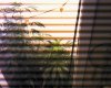 image201006090003.jpg